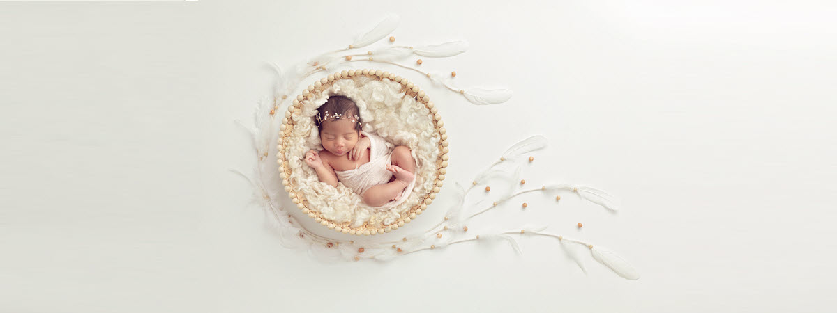 Dreaming in a Nest of Feathers